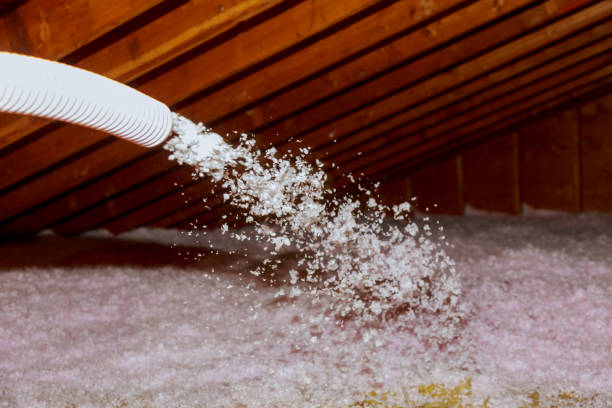 Best Eco-Friendly Insulation in Pymatuning Central, PA